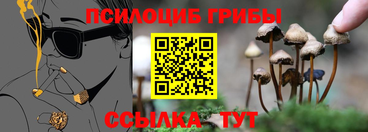 Красноуфимск  Галлюциногенные грибы Psilocybine cubensis  купить наркоту  Псилоцибиновые грибы прущие грибы  Вход с VPN 